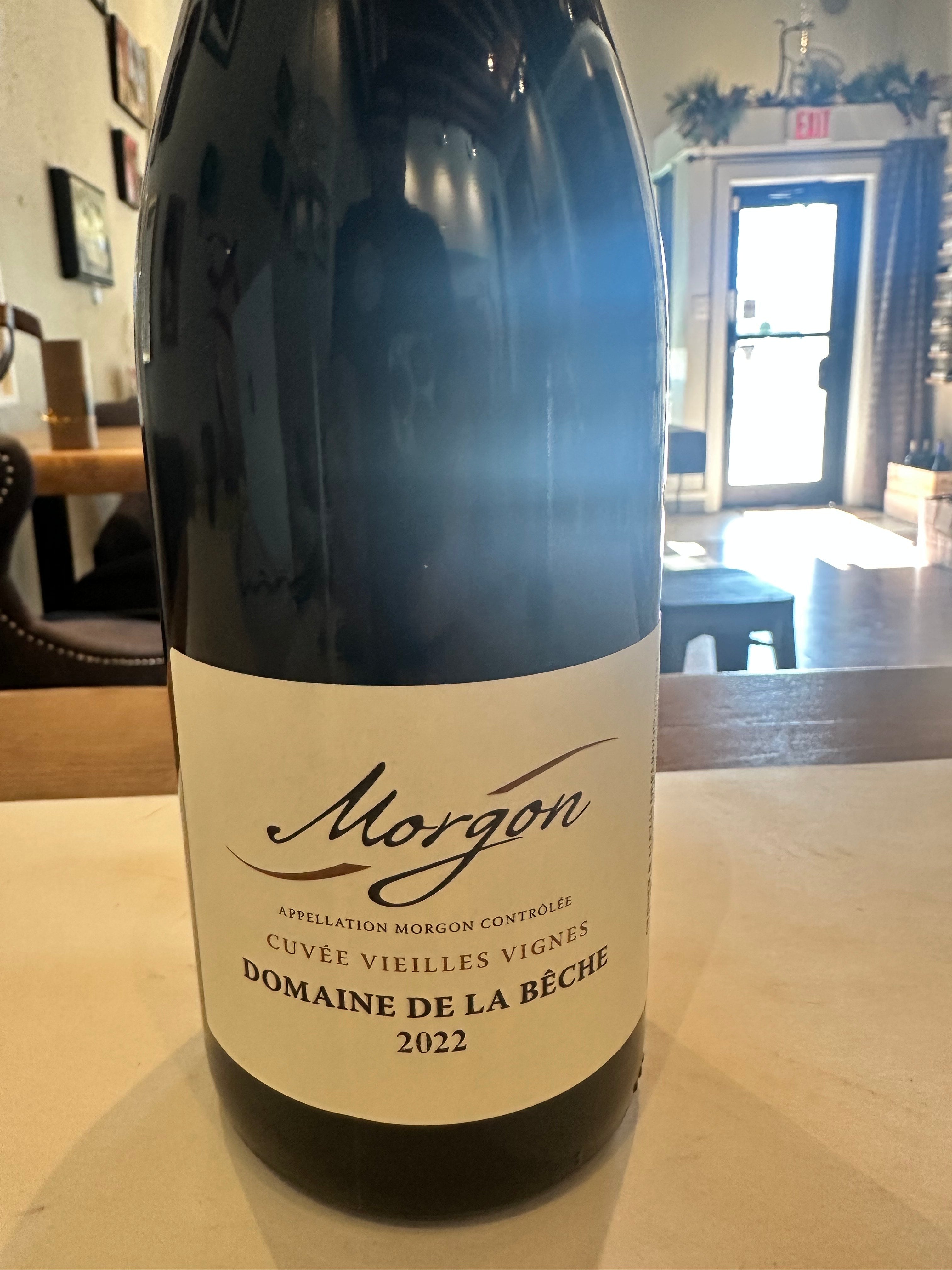 Dom de la Beche Mrgon.