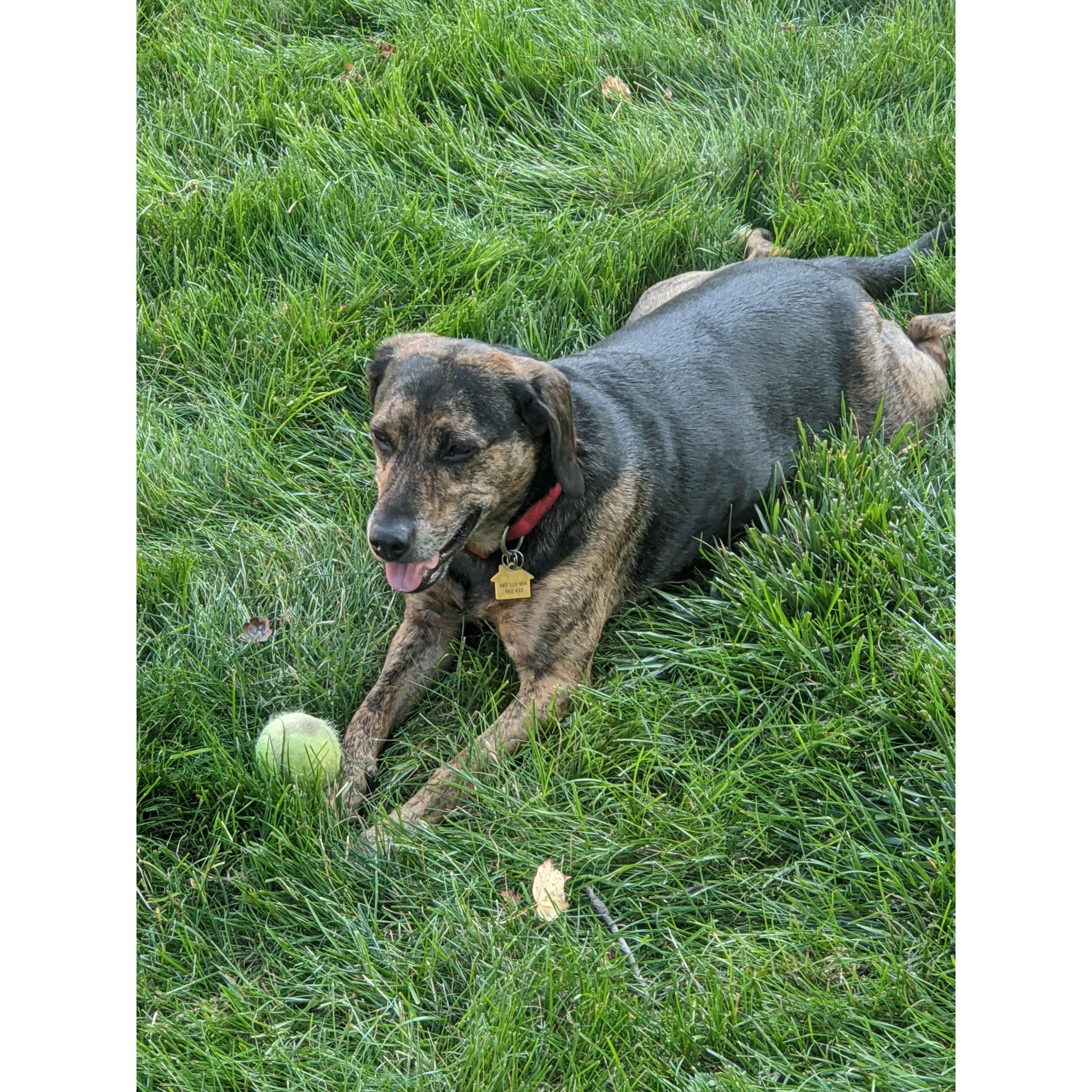 6 Pack of White Wines